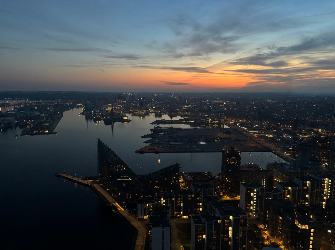 Aarhus Øje-欧胡斯必去景点