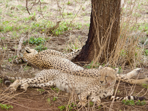 East African Voyage-阿鲁沙必去景点