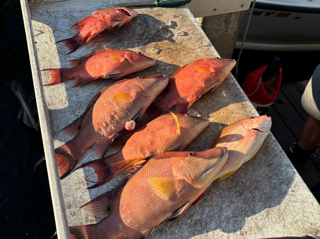 RippinLips, LLC-Holmes Beach必去景点