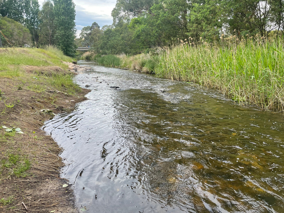 The Creek Playspace-Swifts Creek必去景点