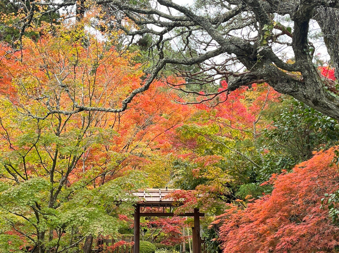 Entsu-in Temple-松岛町必去景点