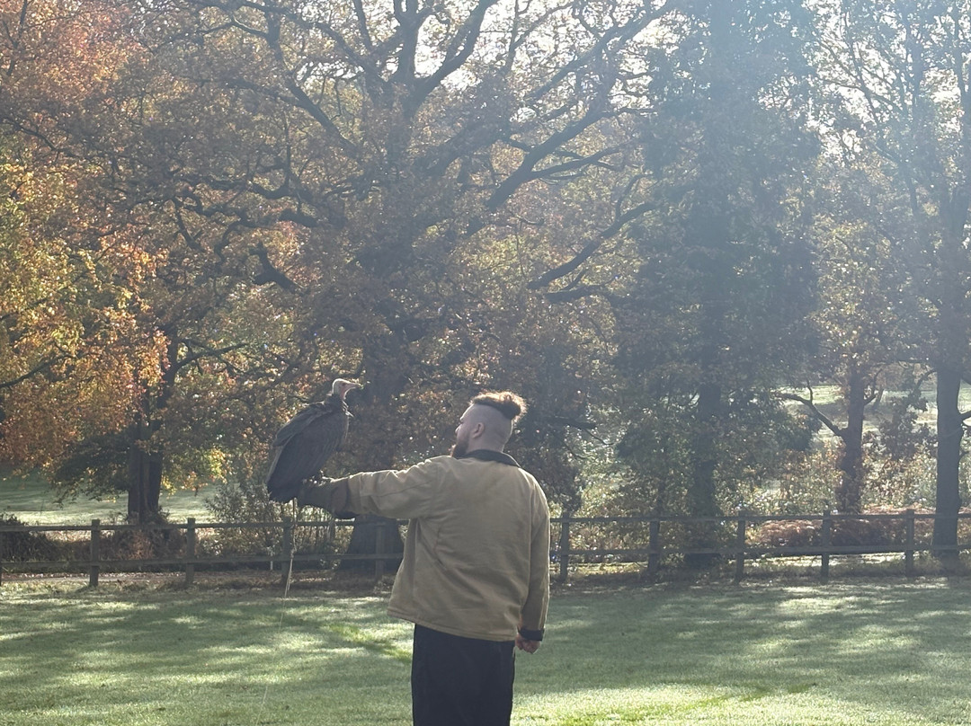 Surrey Hills Falconry-Ockley必去景点