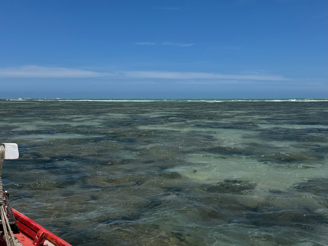 Piscinas Naturais De Pajucara-Maceio必去景点