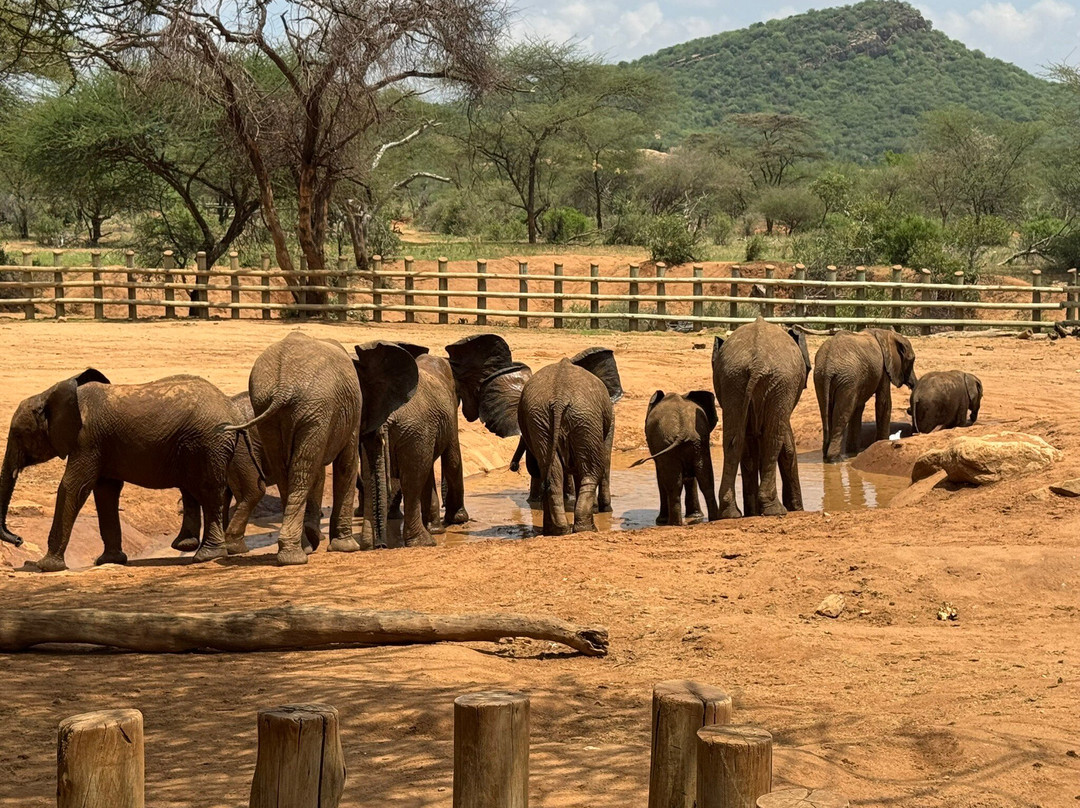 Reteti Elephant Sanctuary-桑布鲁国家保护区必去景点