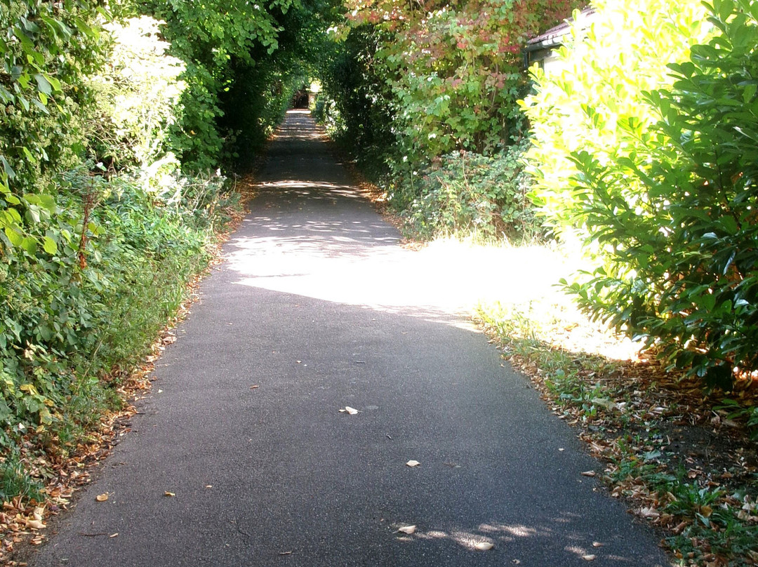 Ascension Parish Burial Ground-剑桥必去景点