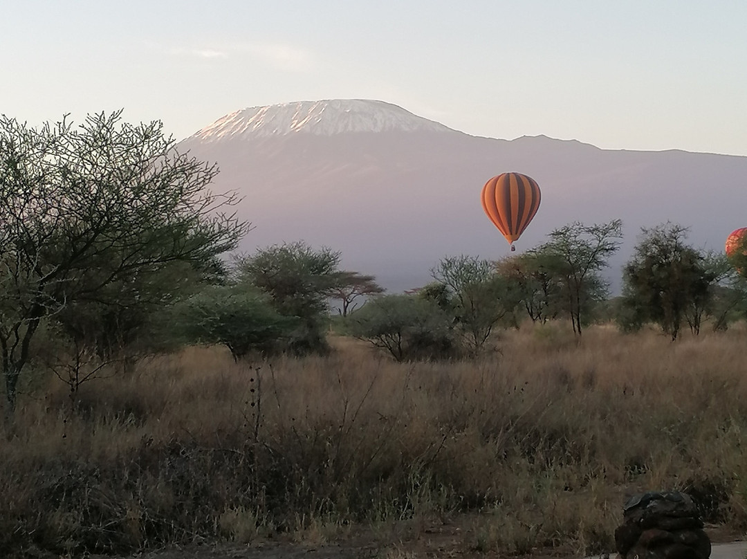 D.M. Tours & Safaris-查佛必去景点