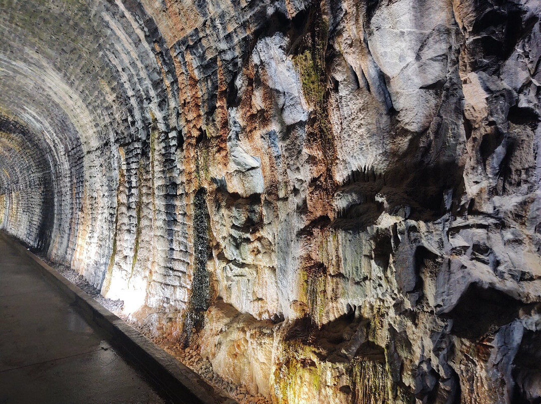 Brockville Railway Tunnel-布罗克维尔必去景点