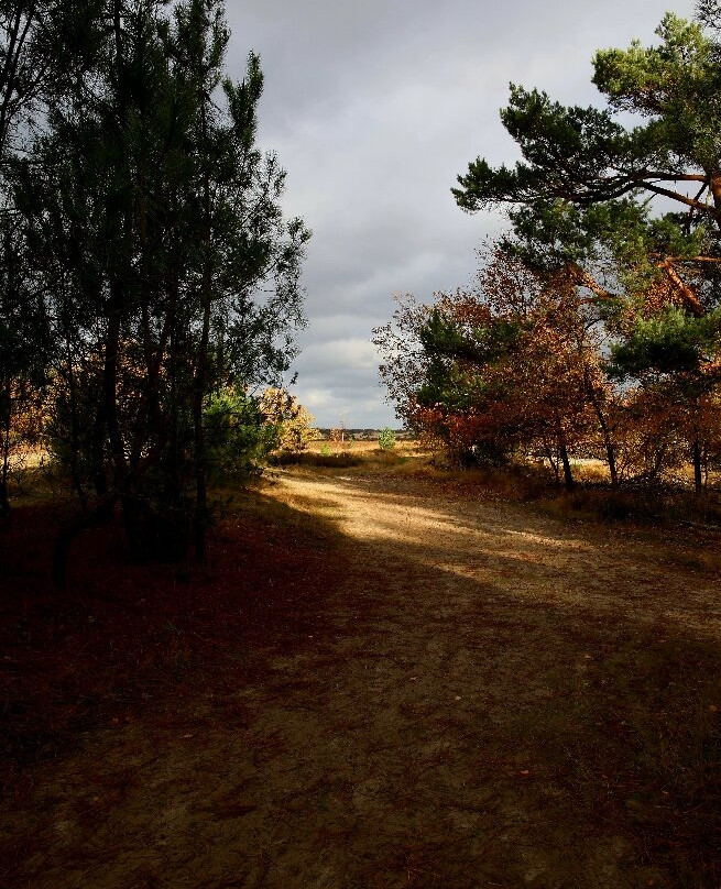 National Park de Loonse en Drunense Duinen-Drunen必去景点