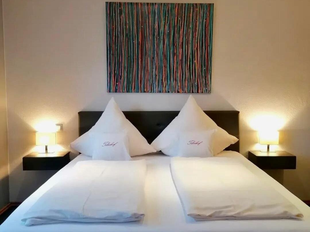 Brauneberg酒店住宿-Weingut-Pension Tiliahof