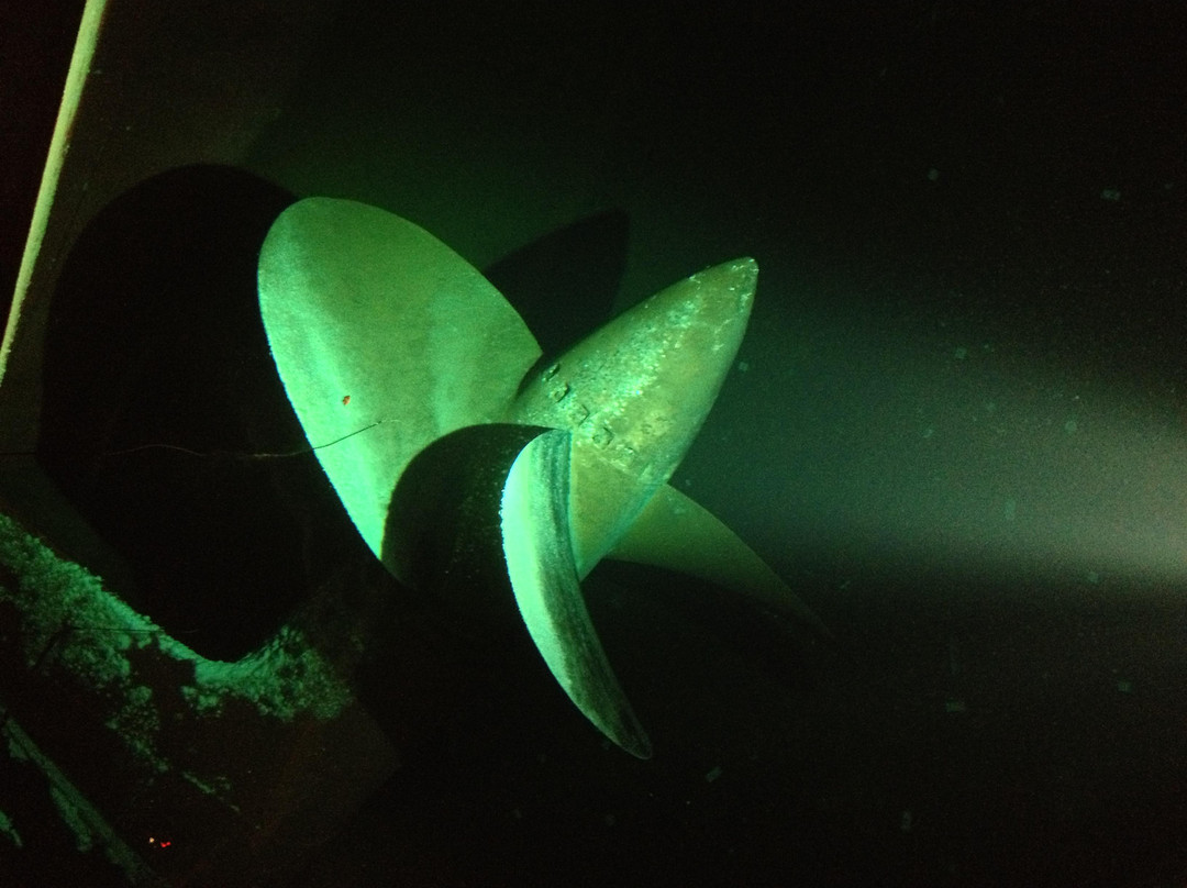 玛丽皇后号-长滩必去景点