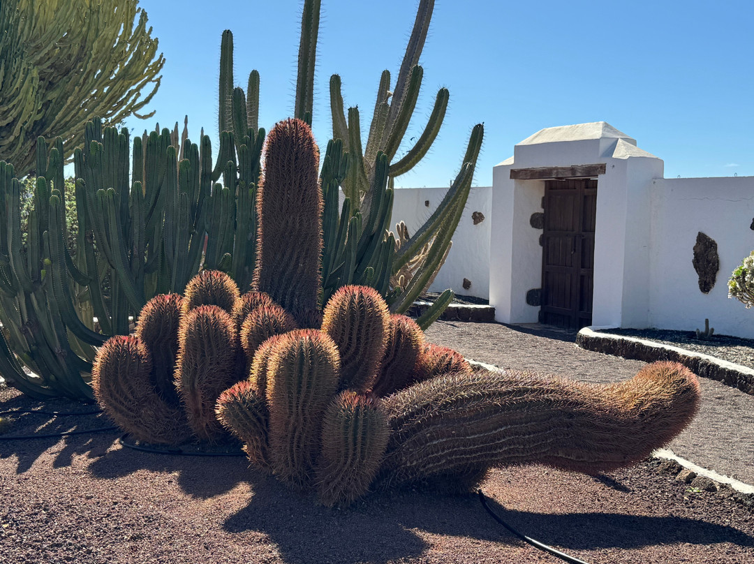 Museo del Queso Majorero-Antigua必去景点