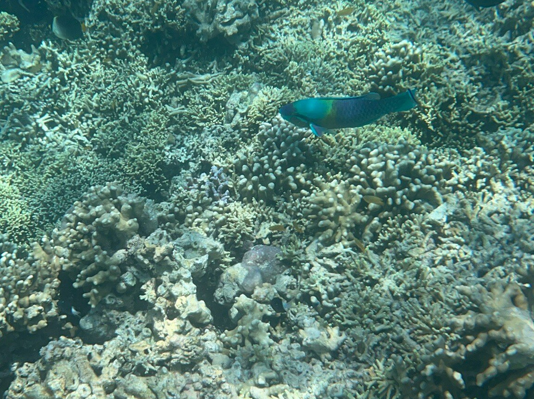 West Bali Adventure-西巴厘岛国家公园必去景点