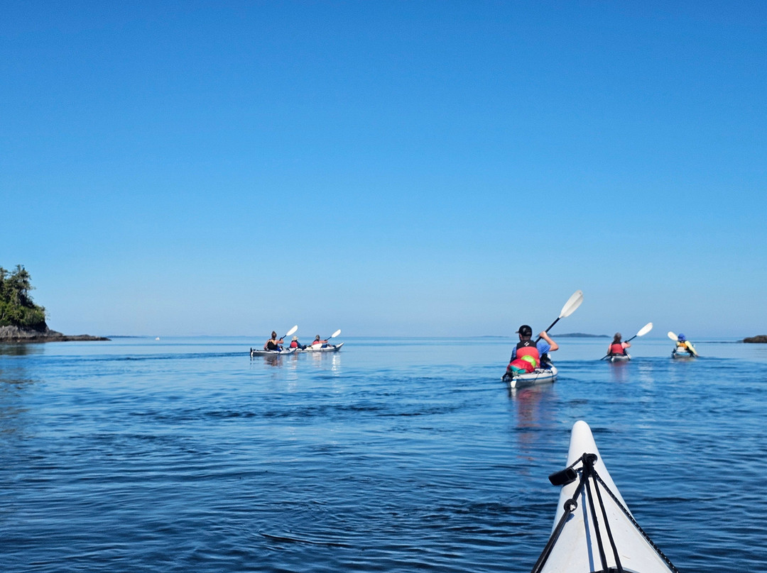 Spirit of the West Adventures-Heriot Bay必去景点