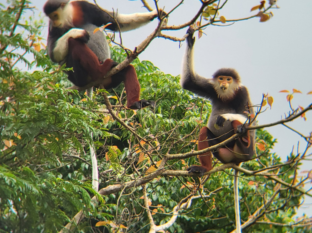 Vietnam Eco-Tours-岘港必去景点