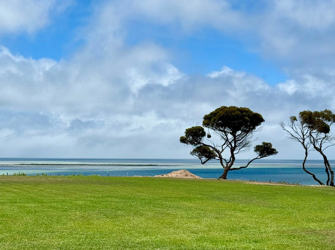Bay of Shoals Winery-金斯科特必去景点