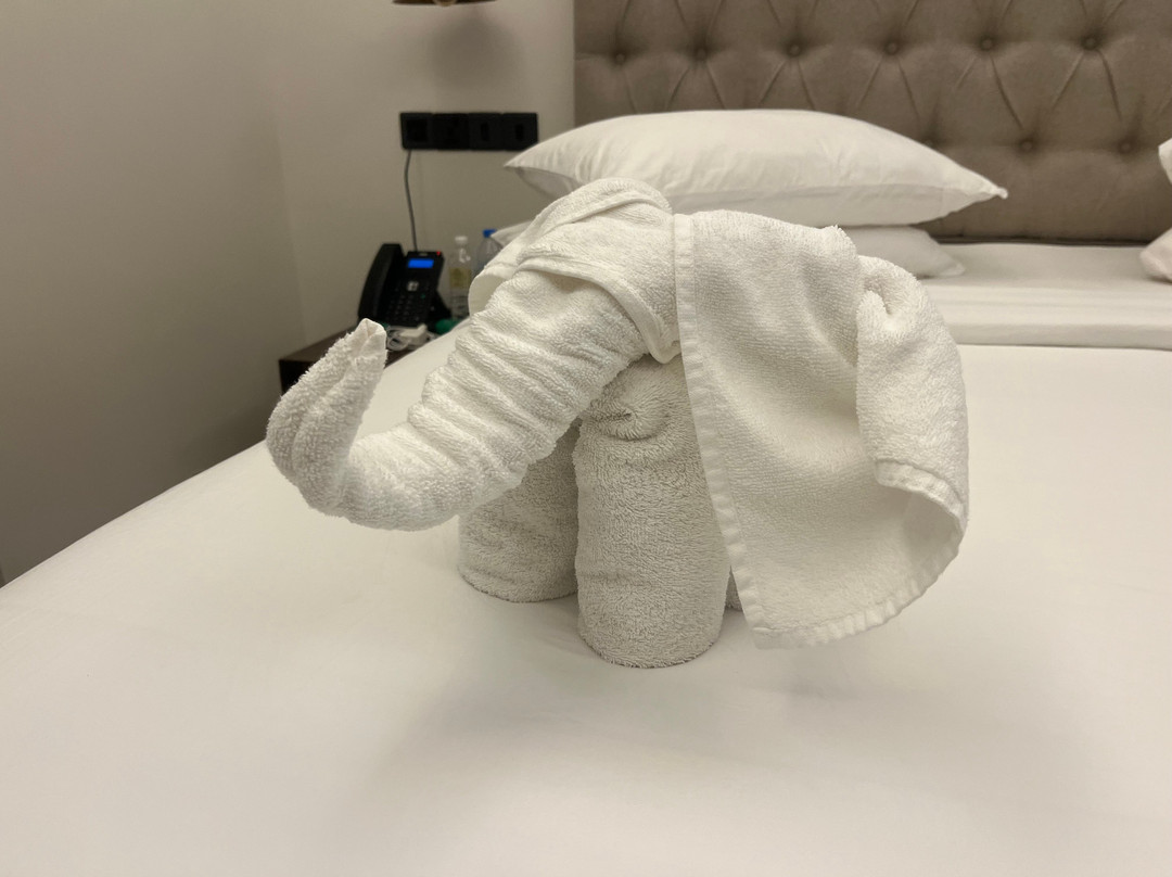 Moksha At Kitulgala主图