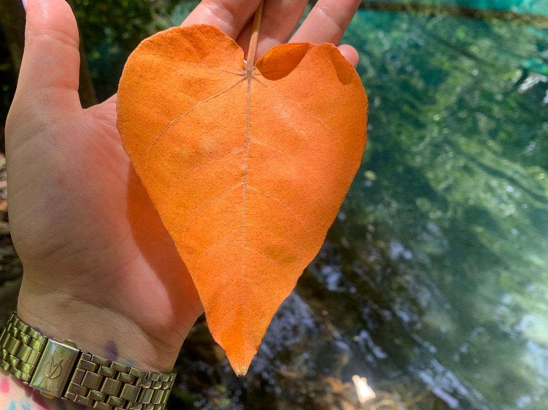 Poco Azul-Formosa必去景点