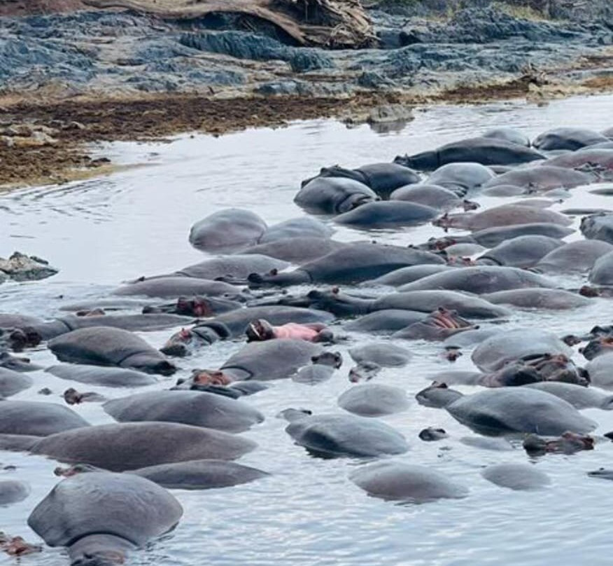 Seven Wonders Safaris-Usa River必去景点