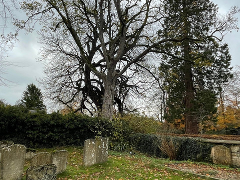 Londonita-伦敦必去景点