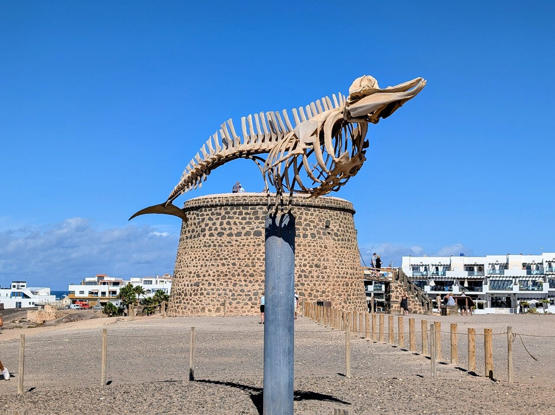 Castillo de El Toston-El Cotillo必去景点