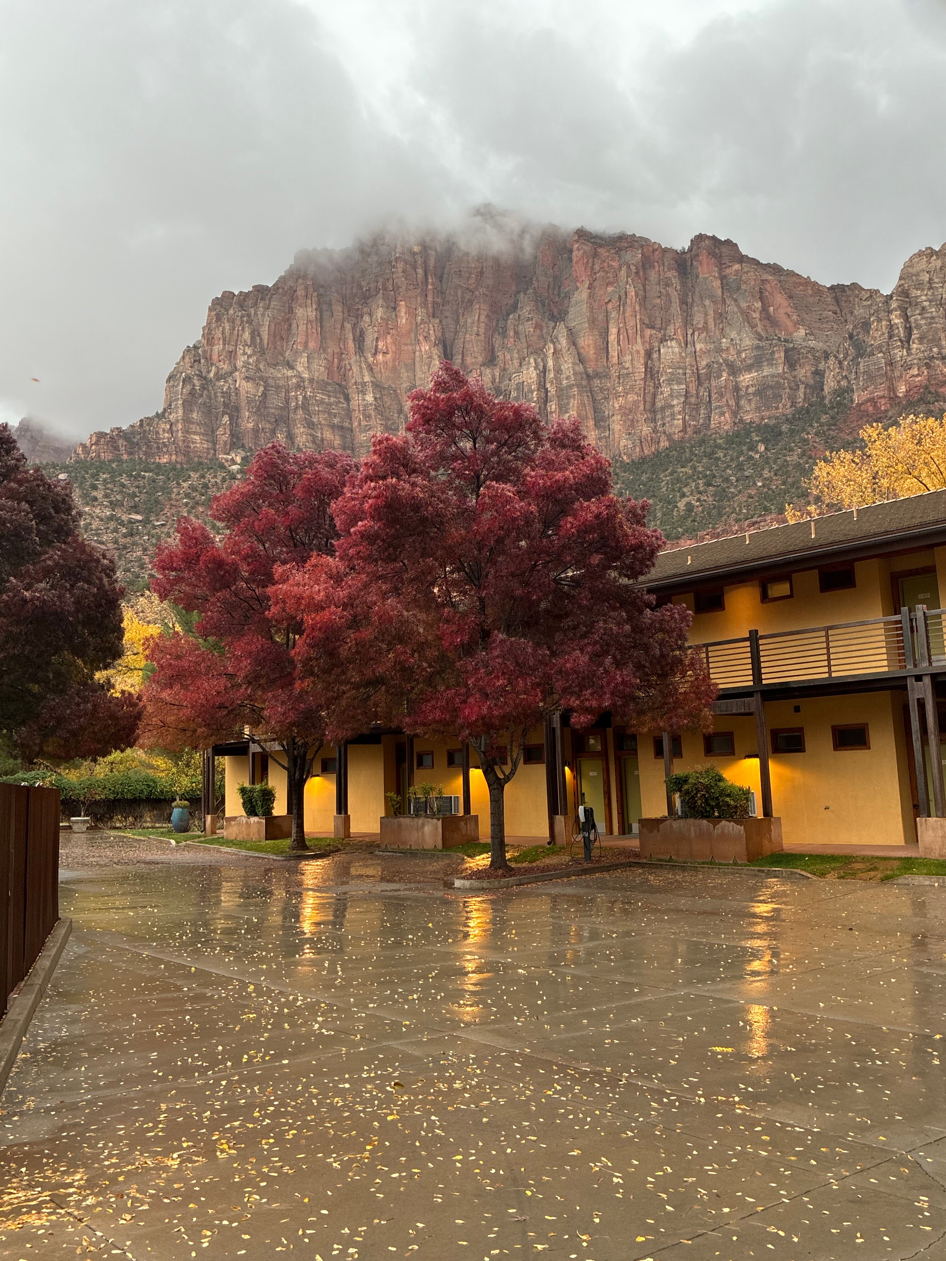 Desert Pearl Inn-官方