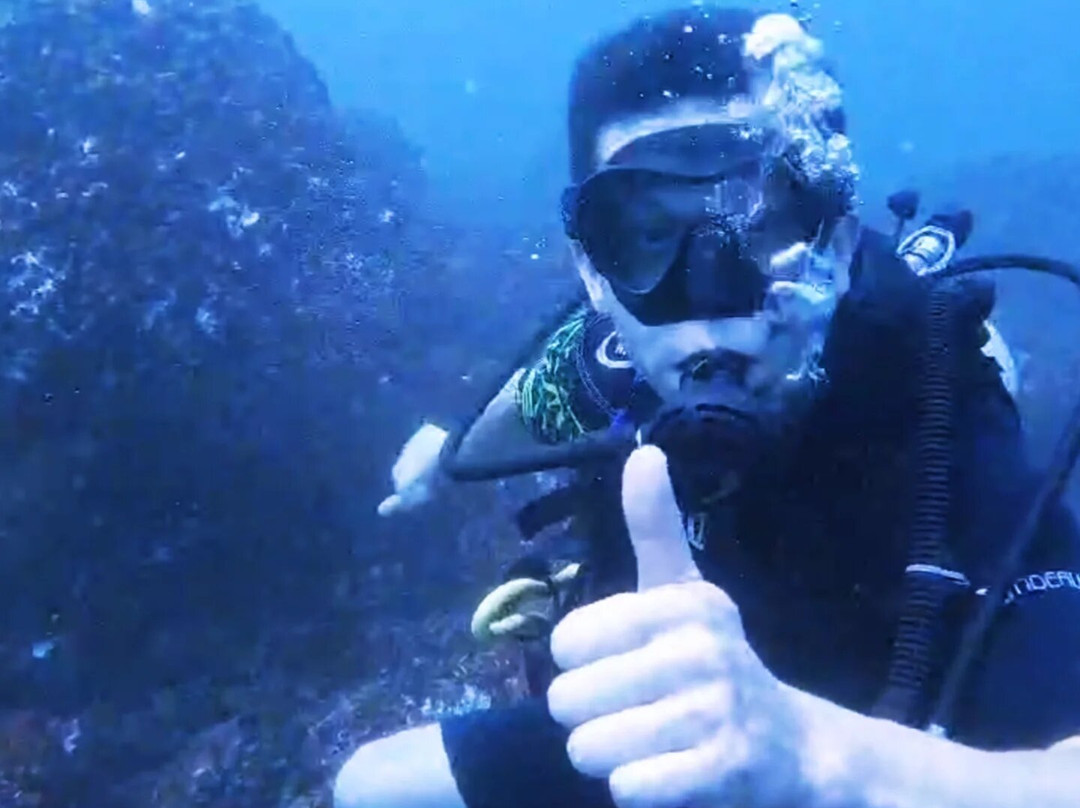 Paradise Dive Mirissa-美蕊沙必去景点