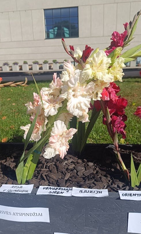 Alytus Town Hall Square-阿雷图斯必去景点