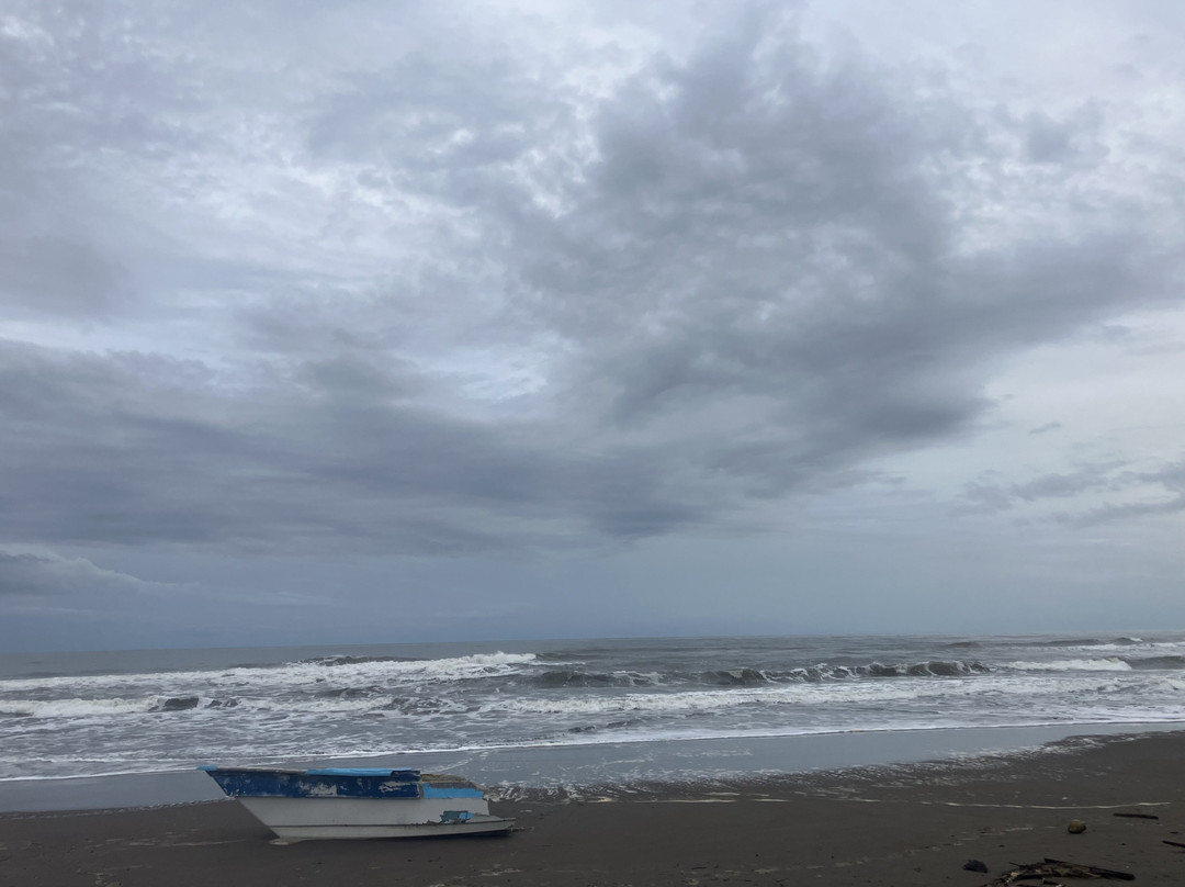 Playa Tortuguero-Barahona必去景点