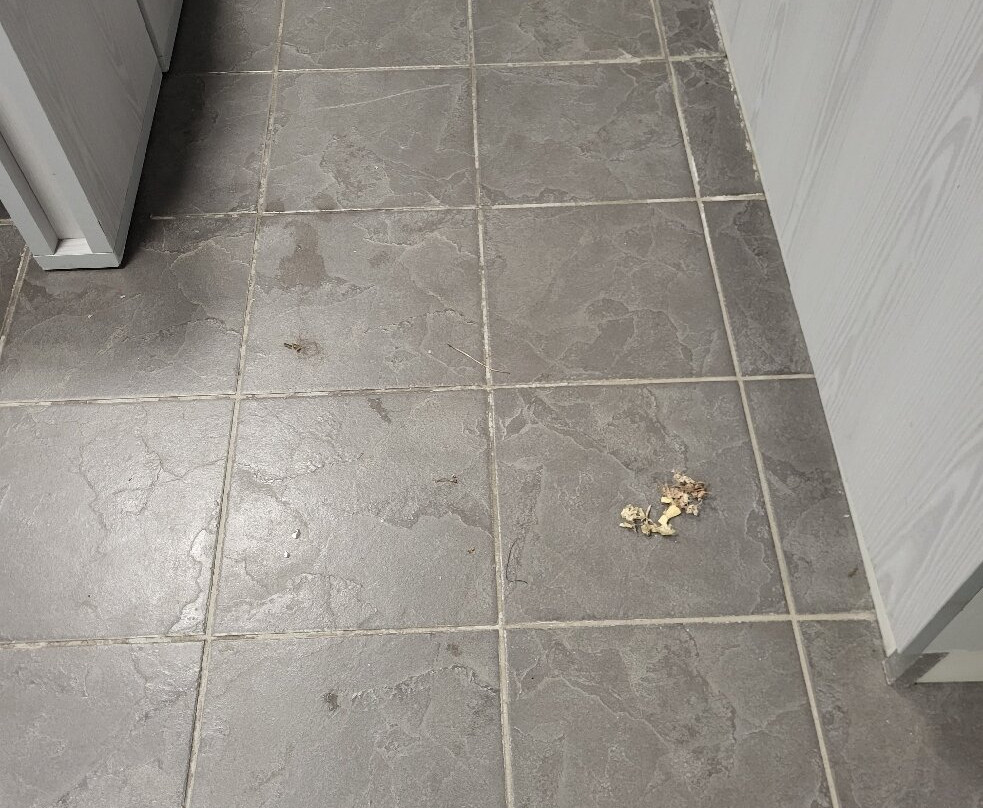 Nuvolasportvillage-Cavenago di Brianza必去景点