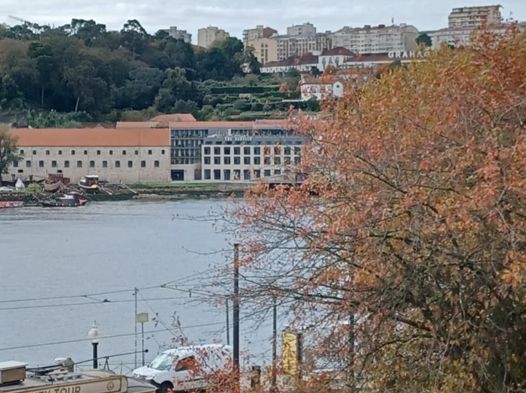 圣弗朗西斯科教堂-波尔图必去景点