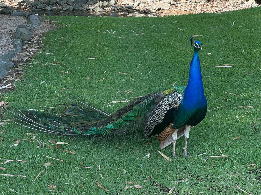 Splitters Farm-邦德堡必去景点