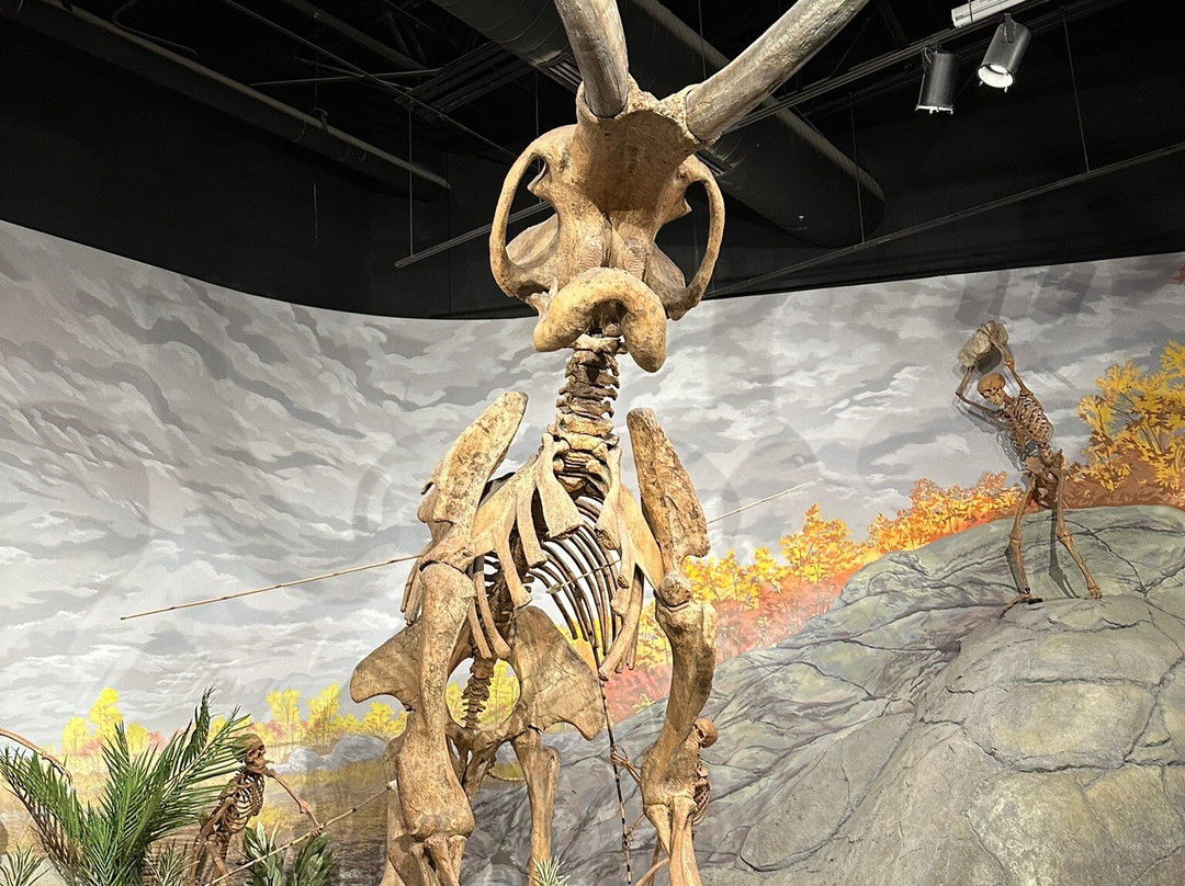 Mountain America Museum of Ancient Life-李海必去景点