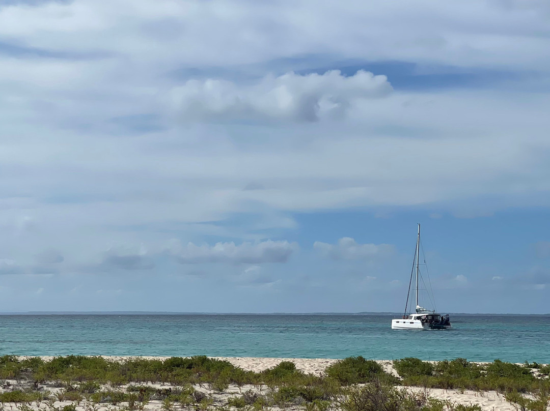 Tarzan Excursion Guadeloupe-Sainte-Anne必去景点