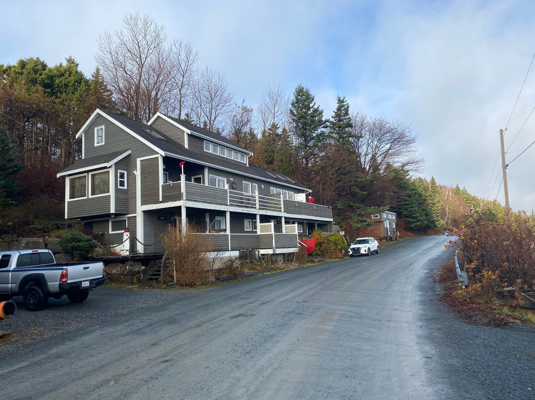 望海住宿加早餐旅馆主图