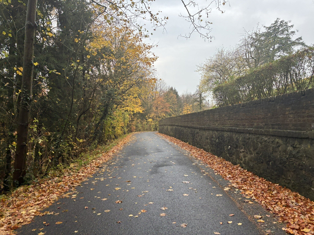 Lowenburg-巴德霍内夫必去景点