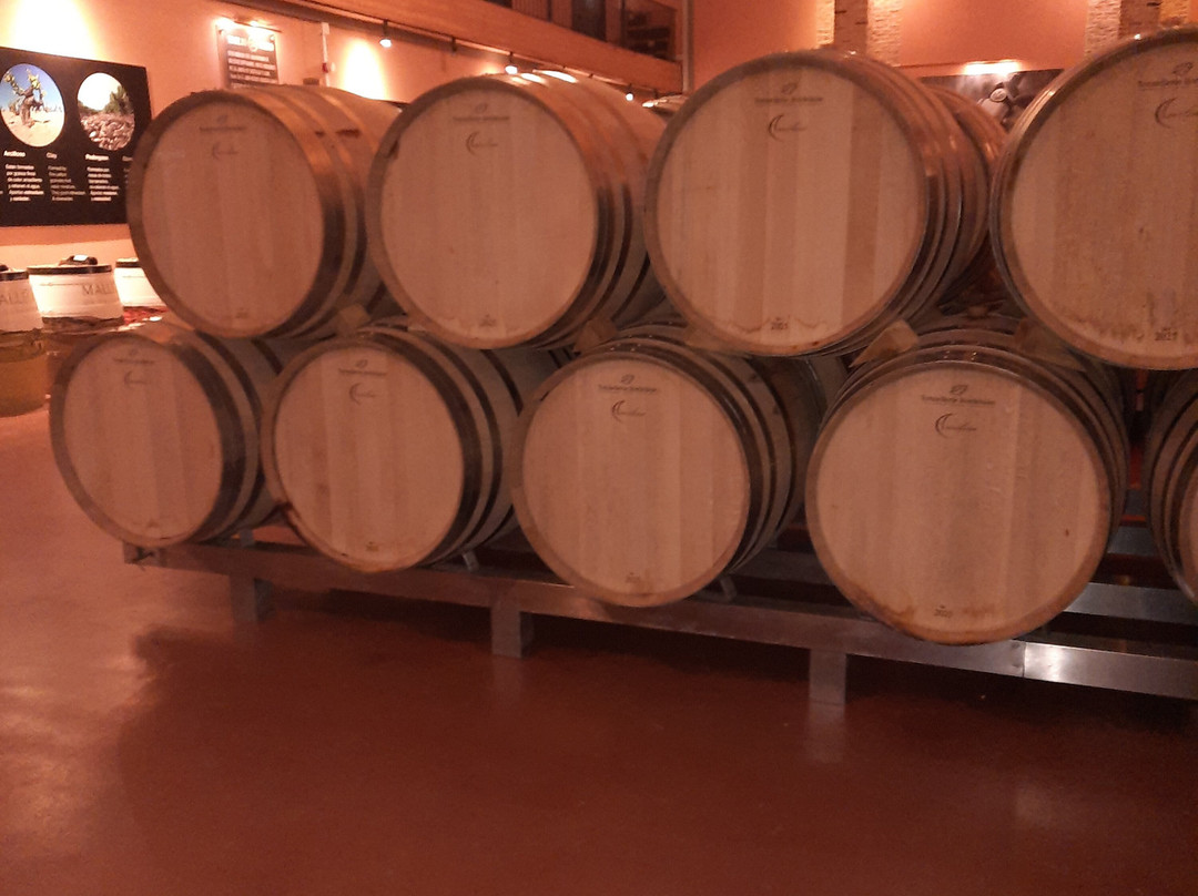 Bodegas Emilio Moro-Pesquera de Duero必去景点