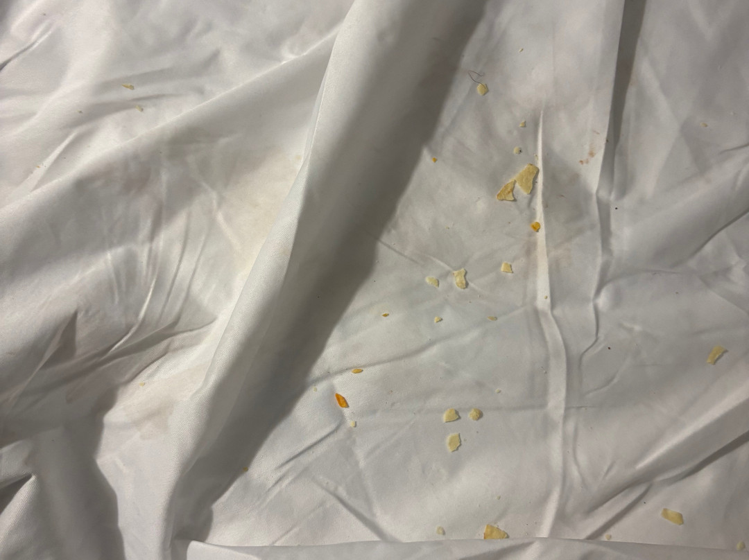 Holiday Inn & Suites Warren by IHG主图