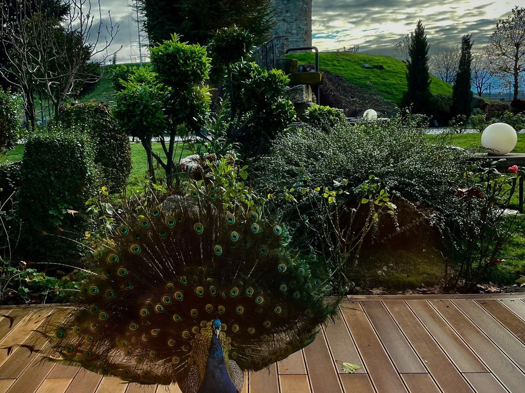 Chateau Copsa Complex主图