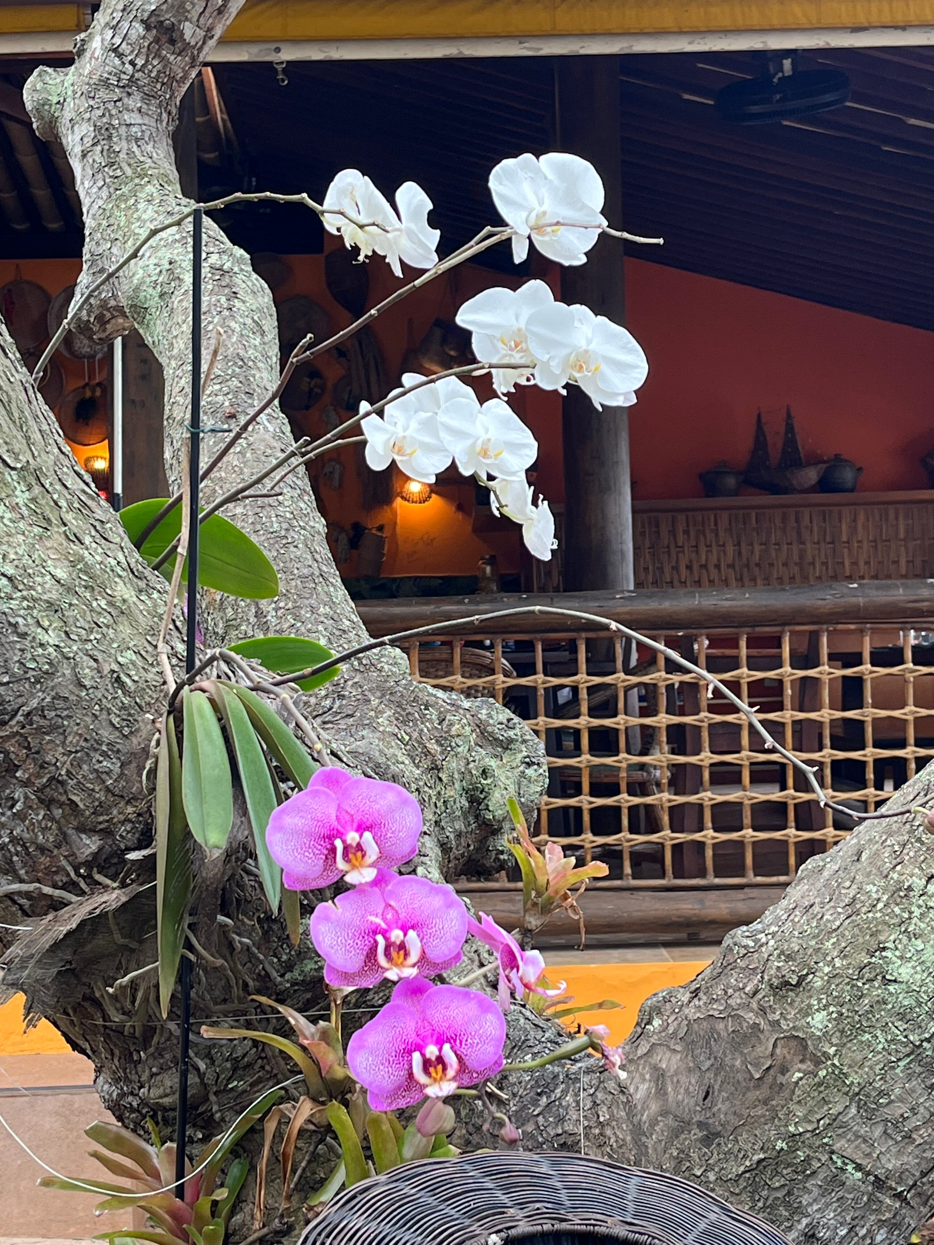 Pousada Villa Maeva Itacimirim-浴室