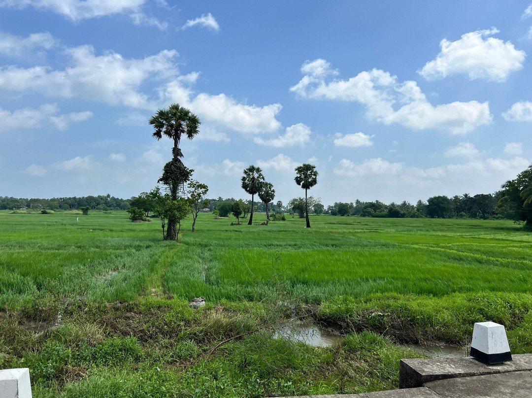 Olanka Travels-Dehiwala必去景点