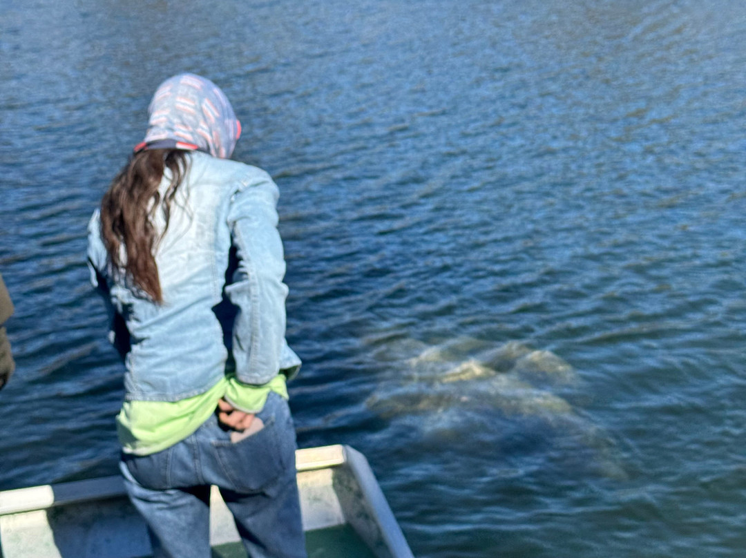 Airboat And Gator Charters-De Leon Springs必去景点