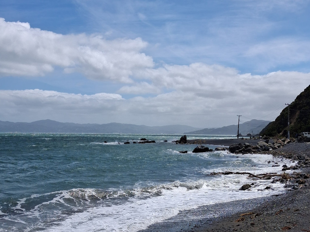 Pencarrow Coastal Trail-惠灵顿必去景点
