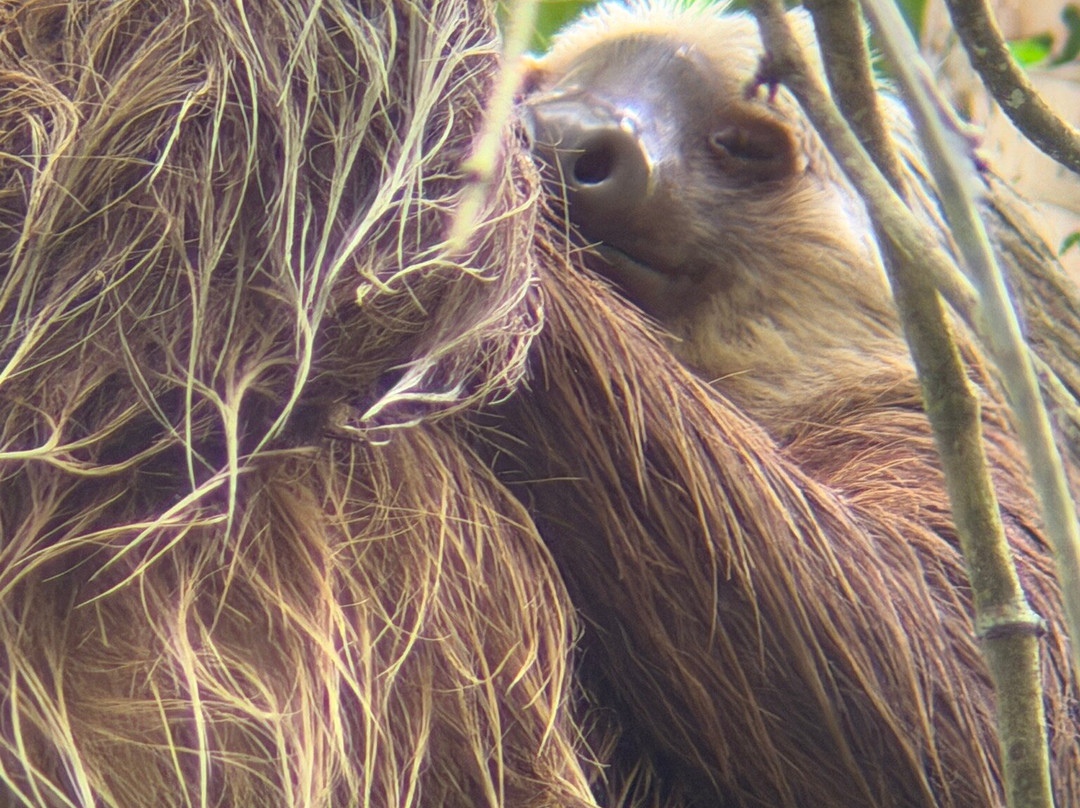 Panama Road Trips-巴拿马城必去景点