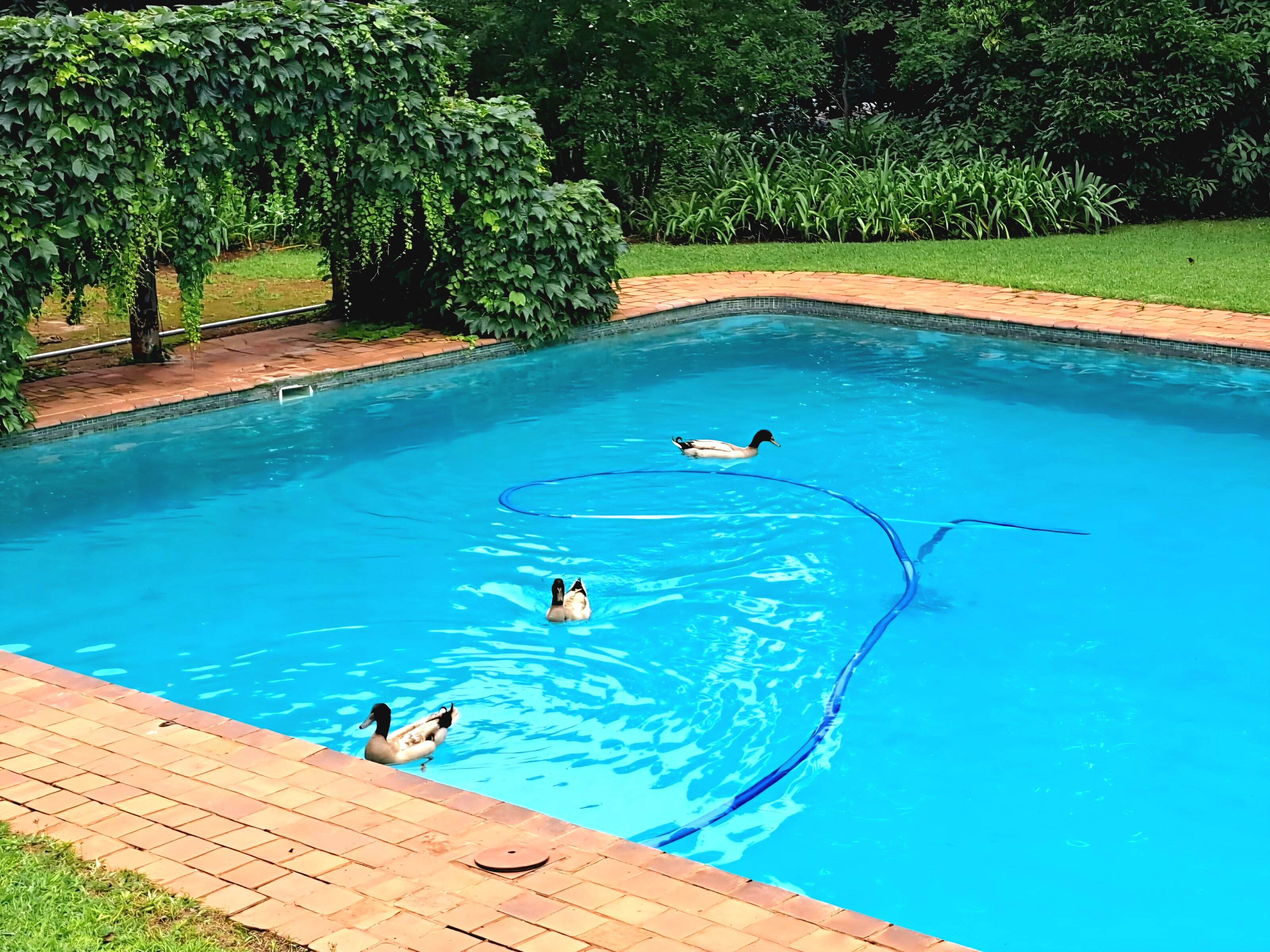 Kings Walden Garden Manor-官方