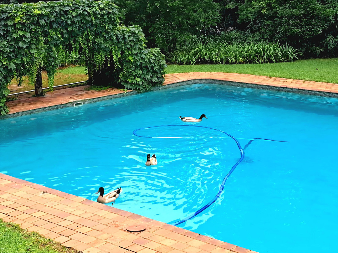 参宁酒店住宿-Kings Walden Garden Manor