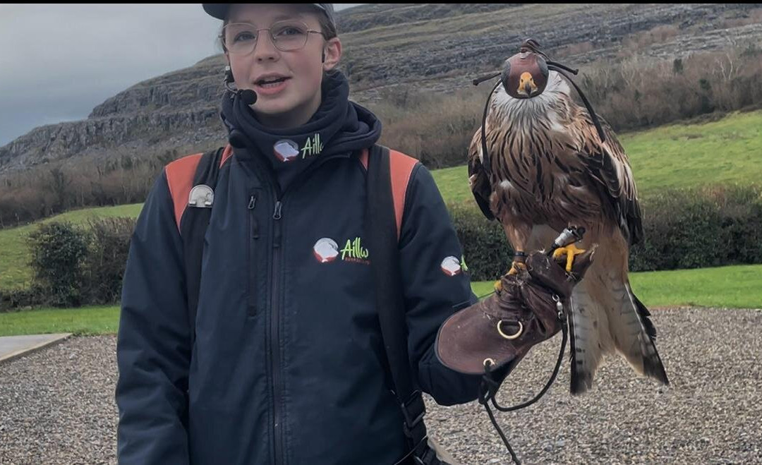 Burren Birds of Prey Centre-Ballyvaughan必去景点