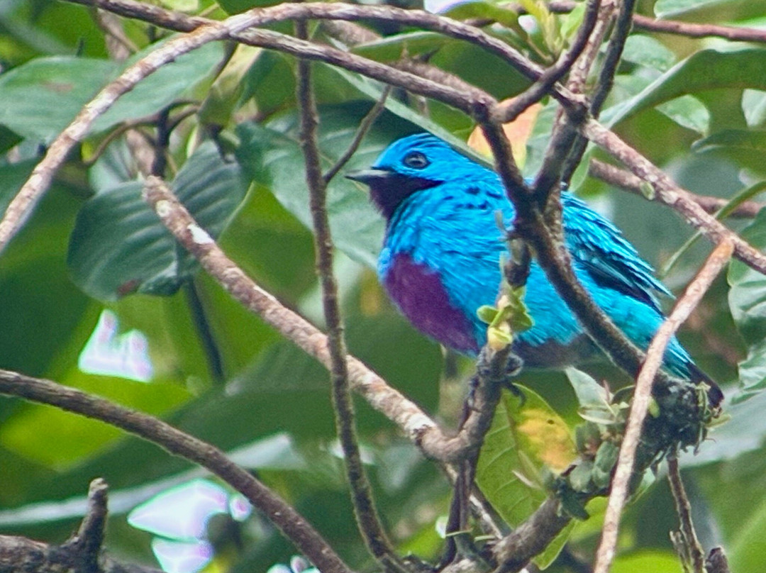 Costa Rica Focus-圣何塞必去景点