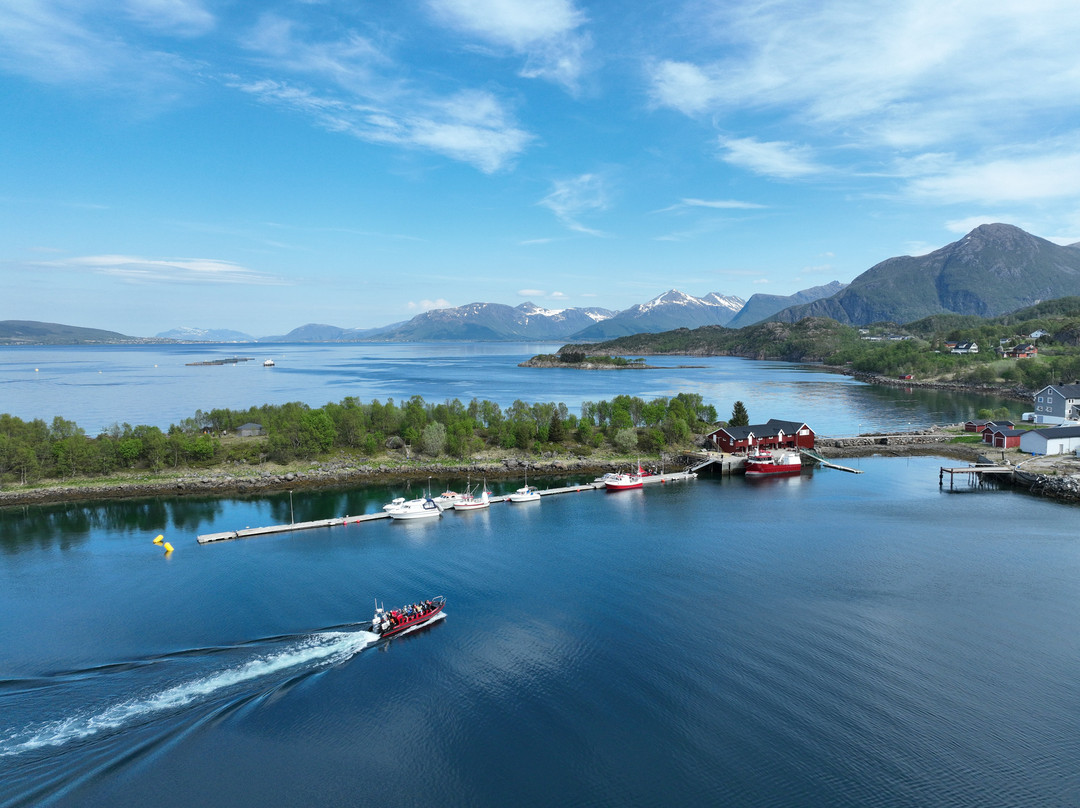 Akvakultur i Vesteralen-Sortland必去景点