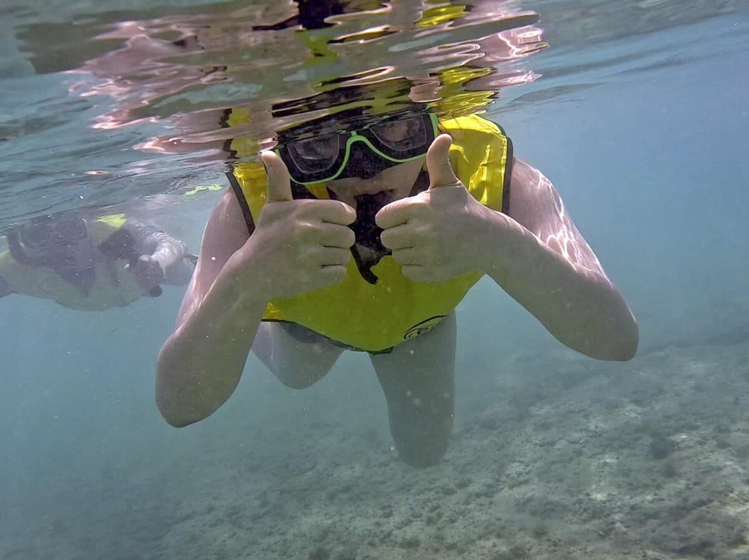 Vieques Snorkel Tours-维切克岛必去景点