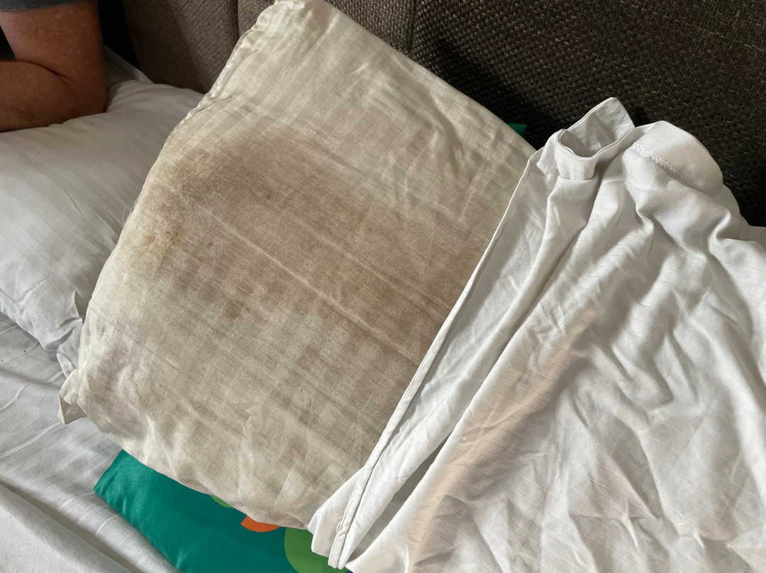 Treebo Trend Siddharth主图